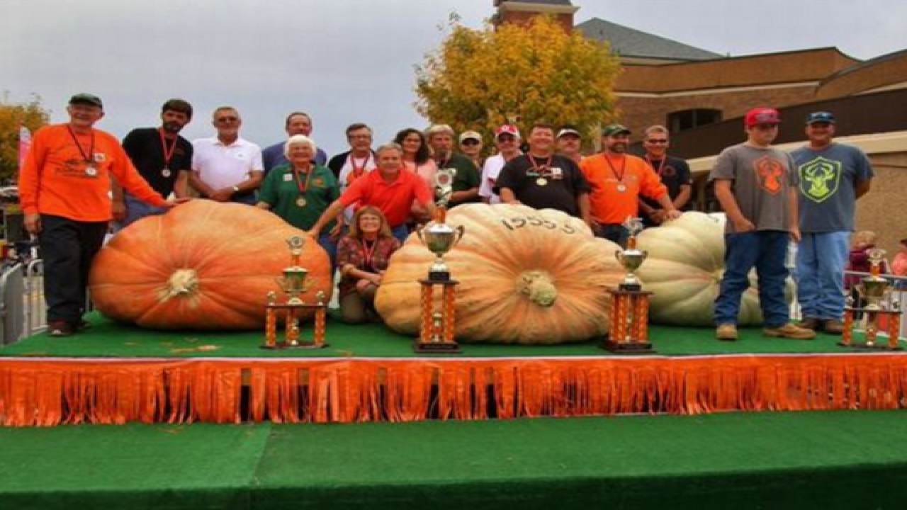 Ohio festival displays 2 1,500pound pumpkins